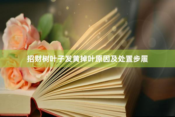 招财树叶子发黄掉叶原因及处置步履