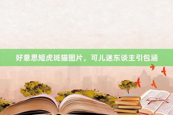 好意思短虎斑猫图片，可儿迷东谈主引包涵