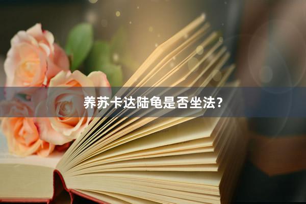 养苏卡达陆龟是否坐法？