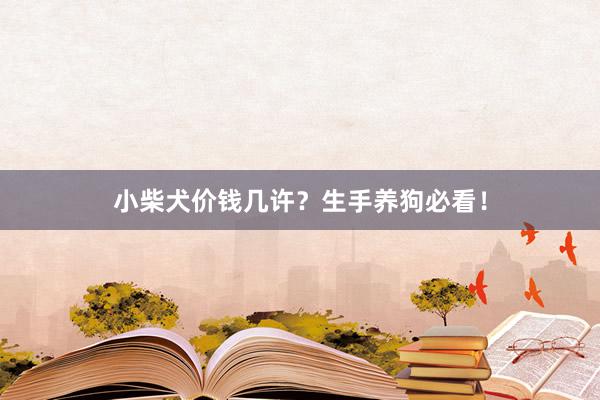小柴犬价钱几许？生手养狗必看！