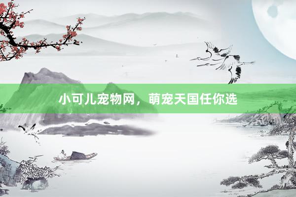小可儿宠物网，萌宠天国任你选